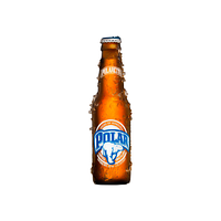 Cerveza